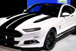 2019 Ford Mustang GT500 Exterior